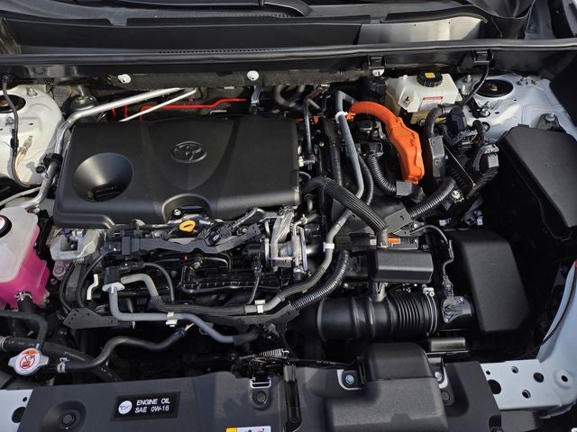 2019 Toyota RAV4 Hybrid XLE