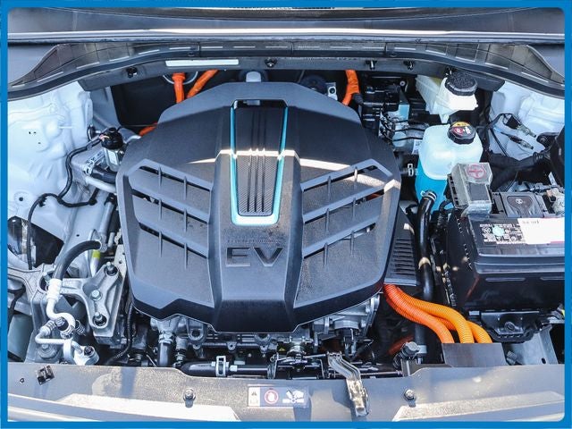 2020 Kia Niro EV EX