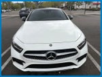 2019 Mercedes-Benz CLS CLS 450